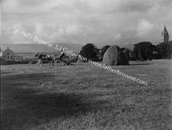 HAYMAKING NEAR CATHEDRAL